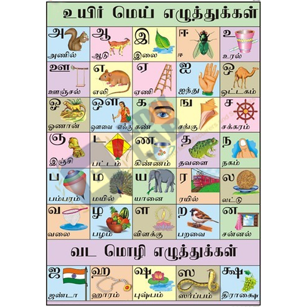 Hindi Alphabet Chart, Hindi Alphabet Chart Manufacturers, Hindi