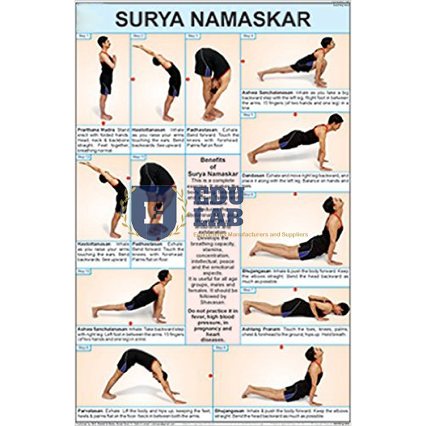 Surya Namaskar Chart
