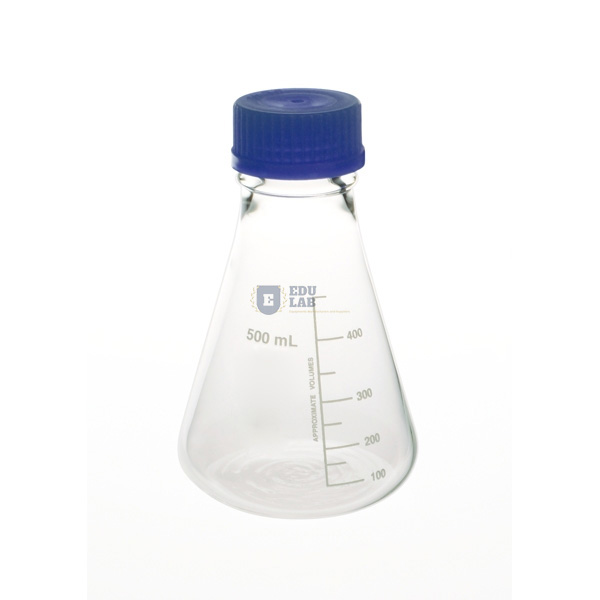 Flask Erlenmeyer with Screw Cap