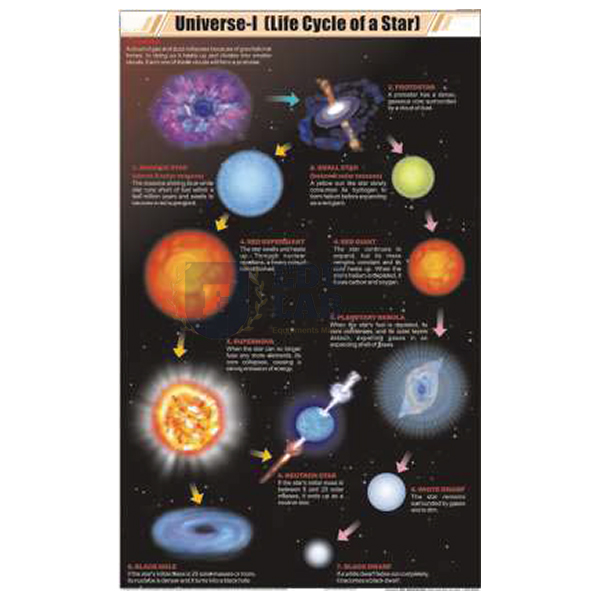 Universal (Life Cycle of a Star) Chart