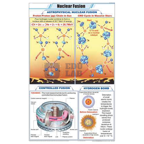 Nuclear Fusion Chart