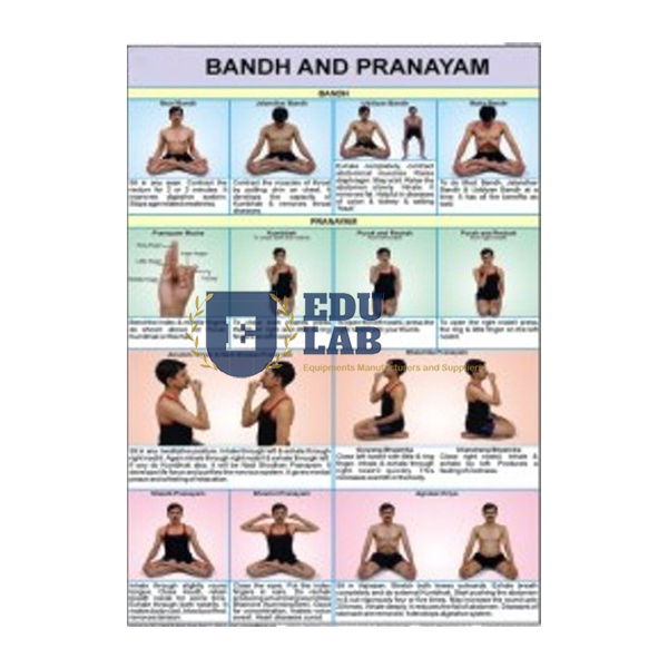 Bandhas and Pranayam Chart