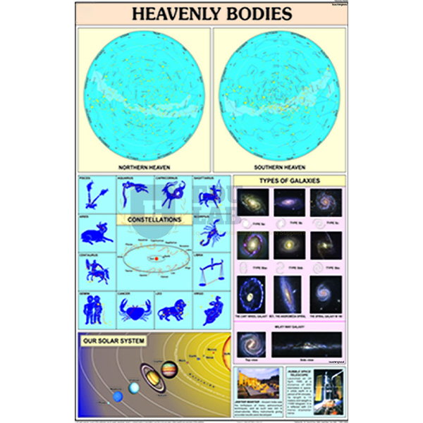 Heavenly Bodies Chart