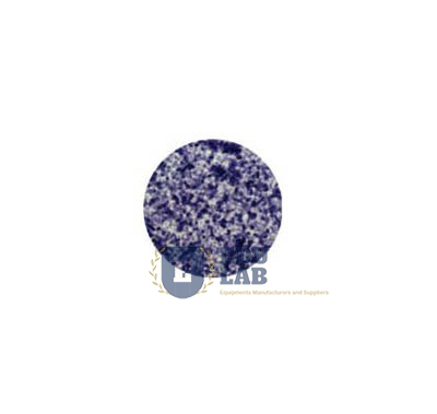 Mouth Smear (400x)